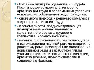 Основные принципы организации труда. Практическое осуществления мер по организац