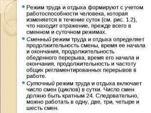 Режим труда и отдыха формируют с учетом работоспособности человека, которая изме