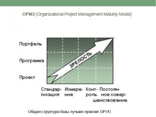 OPM3 (Organizational Project Management Maturity Model)