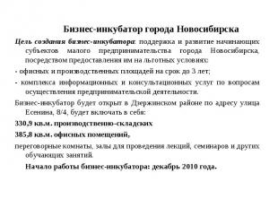 Бизнес-инкубатор города Новосибирска Бизнес-инкубатор города Новосибирска Цель с