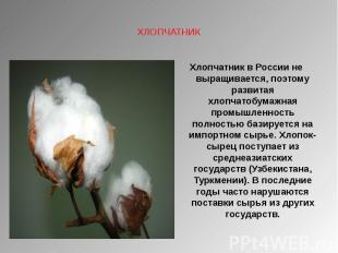 Хлопчатник в России не выращивается, поэтому развитая хлопчатобумажная промышлен