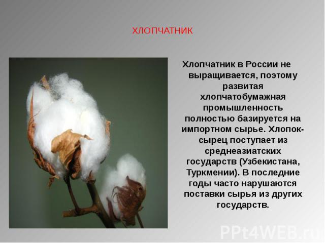 Хлопчатник в России не выращивается, поэтому развитая хлопчатобумажная промышленность полностью базируется на импортном сырье. Хлопок-сырец поступает из среднеазиатских государств (Узбекистана, Туркмении). В последние годы часто нарушаются поставки …