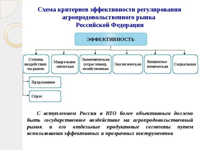 Схема критериев эффективности регулирования агропродовольственного рынка Российской Федерации