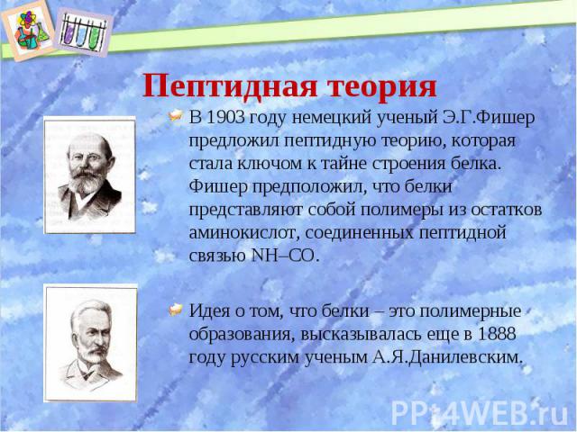 В 1903 году немецкий ученый Э.Г.Фишер предложил пептидную теорию, которая стала ключом к тайне строения белка. Фишер предположил, что белки представляют собой полимеры из остатков аминокислот, соединенных пептидной связью NH–CO. В 1903 году немецкий…