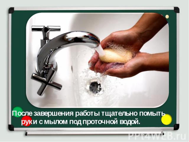 После завершения работы тщательно помыть руки с мылом под проточной водой. После завершения работы тщательно помыть руки с мылом под проточной водой.