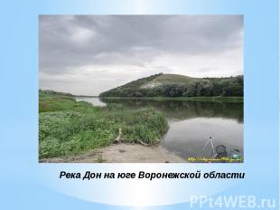 Река Дон на юге Воронежской области