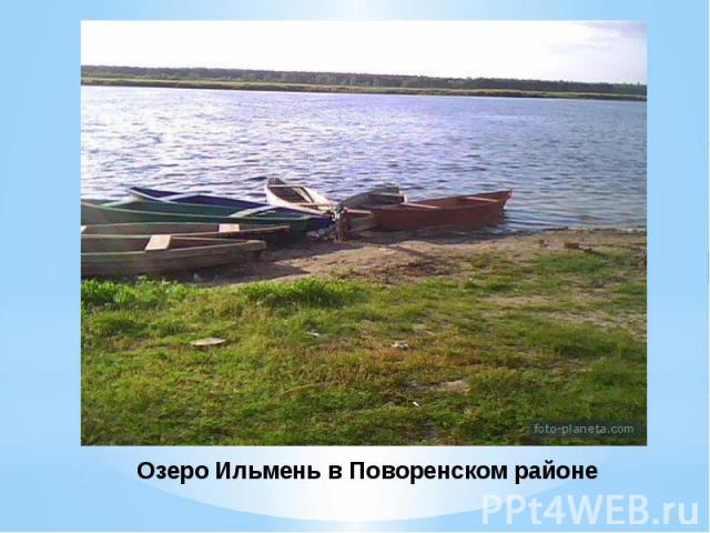 Озеро Ильмень в Поворенском районе