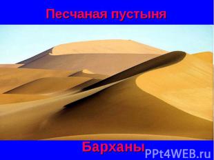 Песчаная пустыня Барханы