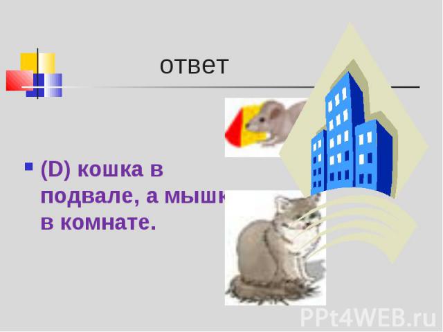(D) кошка в подвале, а мышка в комнате. (D) кошка в подвале, а мышка в комнате.