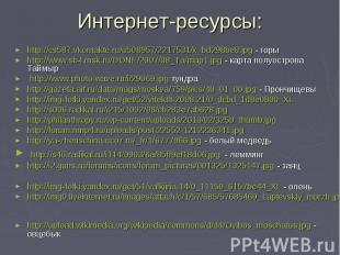 Интернет-ресурсы: http://cs587.vkontakte.ru/u508957/2217531/x_bd298be8.jpg - гор