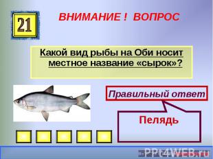 Какой вид рыбы на Оби носит местное название «сырок»? Какой вид рыбы на Оби носи