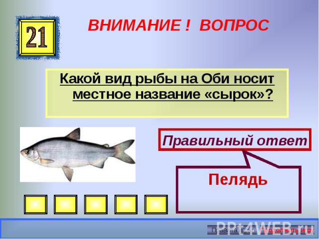 Какой вид рыбы на Оби носит местное название «сырок»? Какой вид рыбы на Оби носит местное название «сырок»?