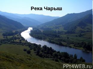 Река Чарыш