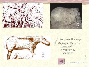 1,3. Рисунок Лошади 1,3. Рисунок Лошади 2. Медведь. Остатки глиняной скульптуры
