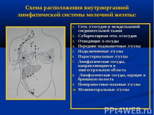 Схема расположения внутриорганной лимфатической системы молочной железы: Сеть л\