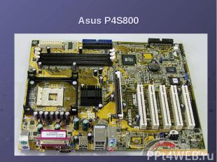 Asus P4S800