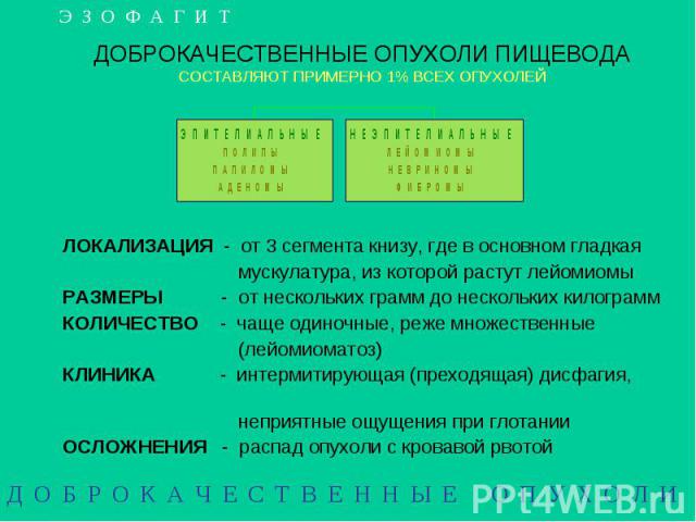 ДОБРОКАЧЕСТВЕННЫЕ ОПУХОЛИ ПИЩЕВОДА СОСТАВЛЯЮТ ПРИМЕРНО 1% ВСЕХ ОПУХОЛЕЙ ЛОКАЛИЗАЦИЯ - от 3 сегмента книзу, где в основном гладкая мускулатура, из которой растут лейомиомы РАЗМЕРЫ - от нескольких грамм до нескольких килограмм КОЛИЧЕСТВО - чаще одиноч…