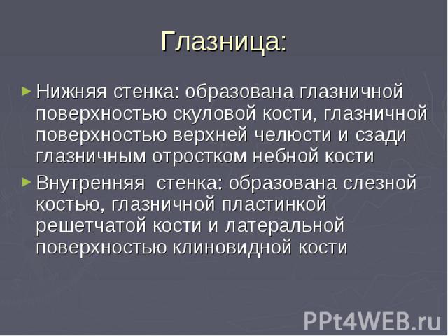 Глазница: Нижняя стенка: образована глазничной поверхностью скуловой кости, глазничной поверхностью верхней челюсти и сзади глазничным отростком небной кости Внутренняя стенка: образована слезной костью, глазничной пластинкой решетчатой кости и лате…