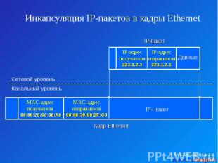 Инкапсуляция IP-пакетов в кадры Ethernet