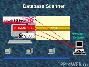 Database Scanner