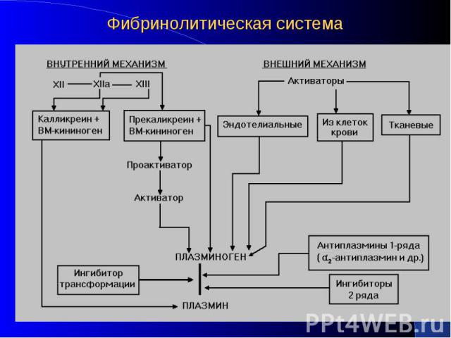 Фибринолитическая система