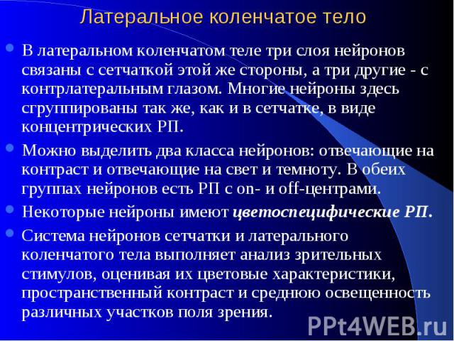 Латеральное коленчатое тело В латеральном коленчатом теле три слоя нейронов связаны с сетчаткой этой же стороны, а три другие - с контрлатеральным глазом. Многие нейроны здесь сгруппированы так же, как и в сетчатке, в виде концентрических РП. Можно …