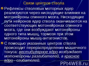 Связи центров ствола Рефлексы стволовых моторных ядер реализуются через нисходящ