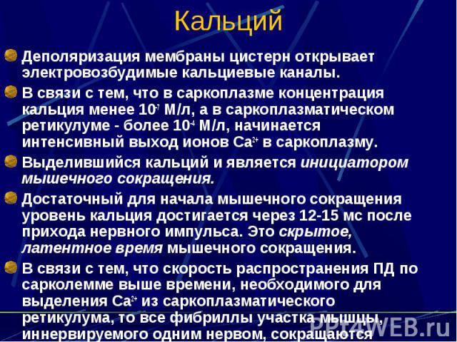 Кальций Деполяризация мембраны цистерн открывает электровозбудимые кальциевые каналы. В связи с тем, что в саркоплазме концентрация кальция менее 10-7 М/л, а в саркоплазматическом ретикулуме - более 10-4 М/л, начинается интенсивный выход ионов Са2+ …