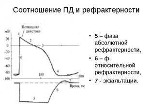 5 – фаза абсолютной рефрактерности, 5 – фаза абсолютной рефрактерности, 6 – ф. о