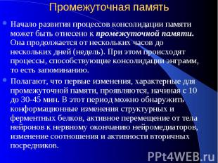 Промежуточная память Начало развития процессов консолидации памяти может быть от