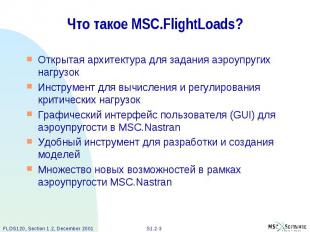 Что такое MSC.FlightLoads? Открытая архитектура для задания аэроупругих нагрузок