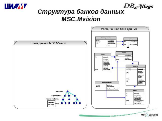 Структура банков данных MSC.Mvision