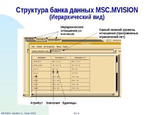 Структура банка данных MSC.MVISION (Иерархический вид)