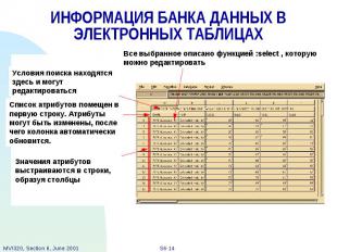 ИНФОРМАЦИЯ БАНКА ДАННЫХ В ЭЛЕКТРОННЫХ ТАБЛИЦАХ