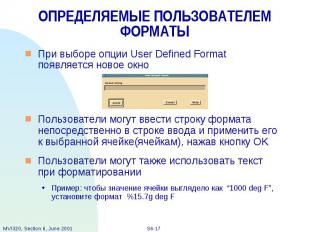 ОПРЕДЕЛЯЕМЫЕ ПОЛЬЗОВАТЕЛЕМ ФОРМАТЫ При выборе опции User Defined Format появляет