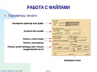 РАБОТА С ФАЙЛАМИ Параметры печати