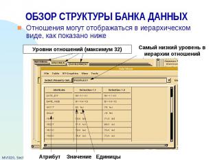 ОБЗОР СТРУКТУРЫ БАНКА ДАННЫХ Отношения могут отображаться в иерархическом виде,