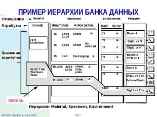 ПРИМЕР ИЕРАРХИИ БАНКА ДАННЫХ