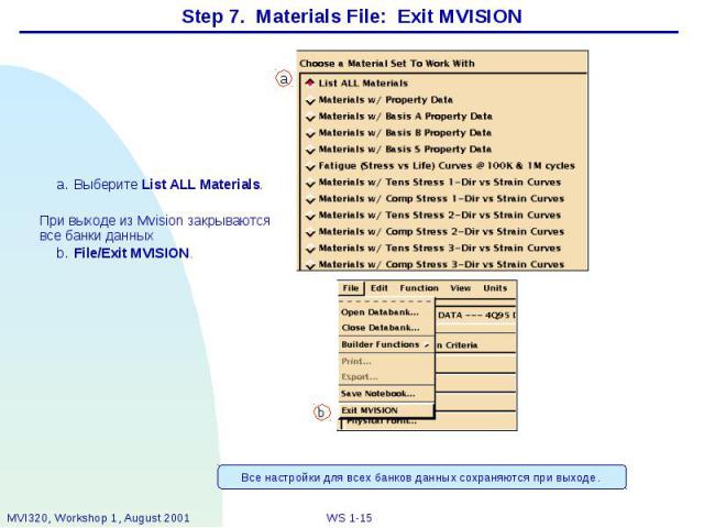 Step 7. Materials File: Exit MVISION