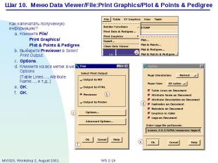 Шаг 10. Меню Data Viewer/File:Print Graphics/Plot &amp; Points &amp; Pedigree