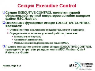 Секция Executive Control Секция EXECUTIVE CONTROL является первой обязательной г