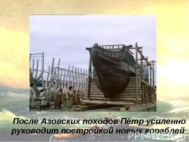 После Азовских походов Пётр усиленно руководит постройкой новых кораблей