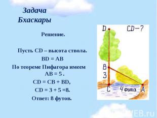 Решение. Решение. &nbsp; Пусть CD – высота ствола. BD = АВ По теореме Пифагора и