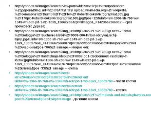 http://yandex.ru/images/search?viewport=wide&amp;text=срез%20пробкового%20дерева