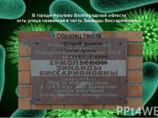 В городе Фролово Волгоградской области есть улица названная в честь Зинаиды Висс