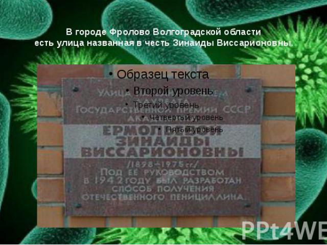 В городе Фролово Волгоградской области есть улица названная в честь Зинаиды Виссарионовны.