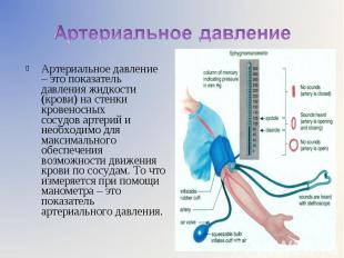 Артериальное давление – это показатель давления жидкости (крови) на&nbsp;стенки