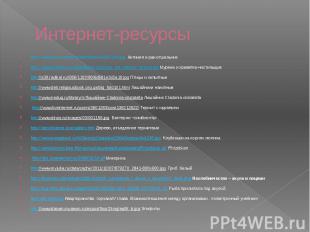 Интернет-ресурсы http://www.geo.ru/sites/default/files/nek050104.jpg Актиния и р
