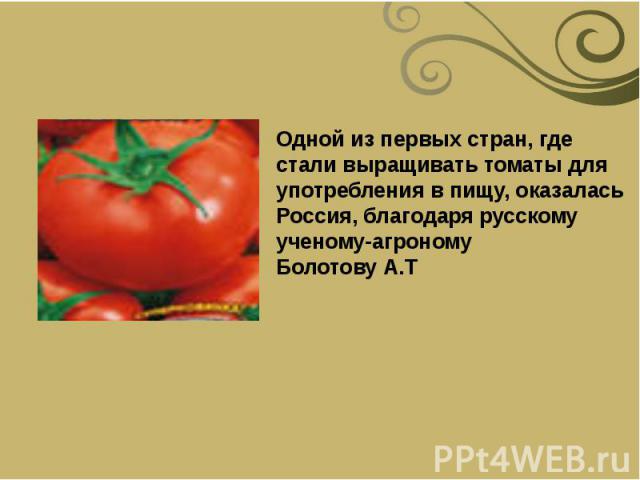 Одной из первых стран, где стали выращивать томаты для употребления в пищу, оказалась Россия, благодаря русскому ученому-агроному Болотову А.Т