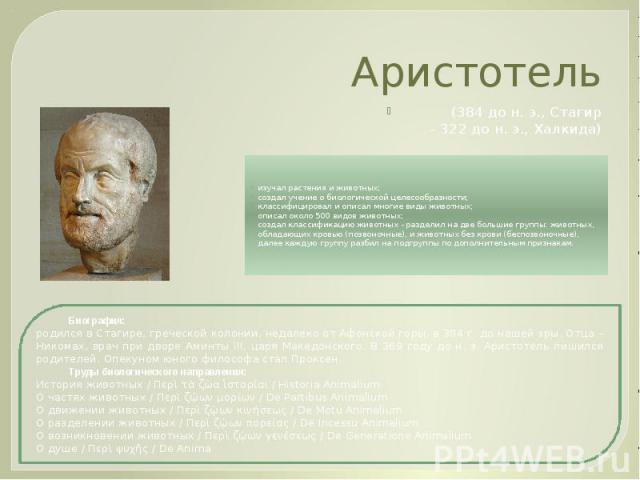 Аристотель (384 до н. э., Стагир – 322 до н. э., Халкида)